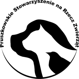 logo-1